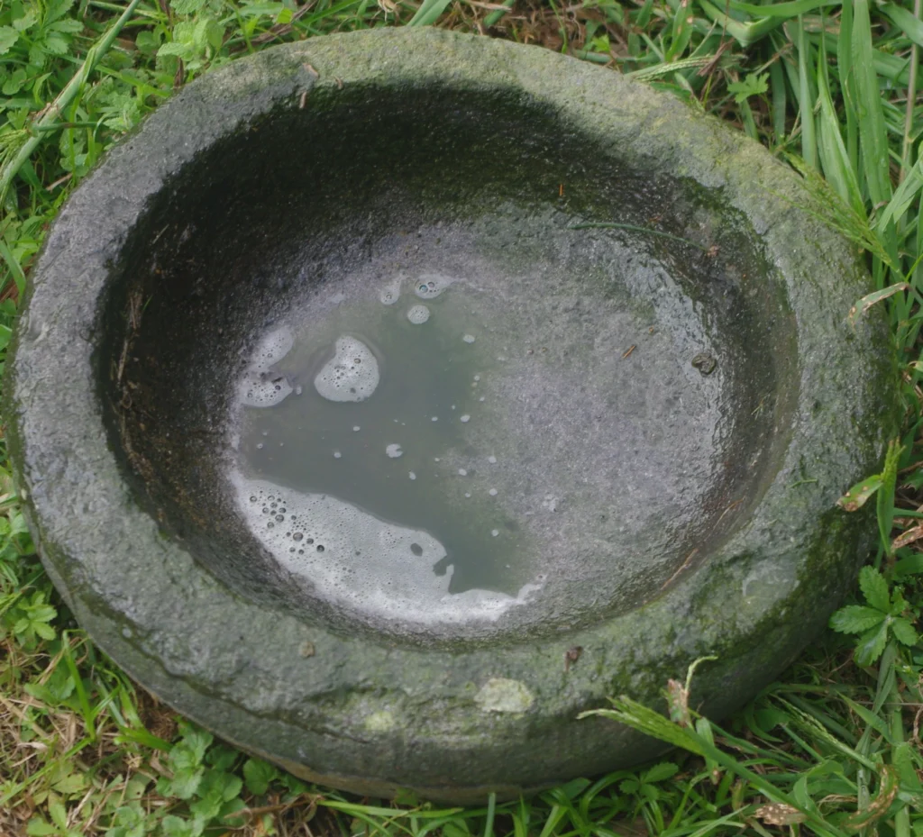 abreuvoir